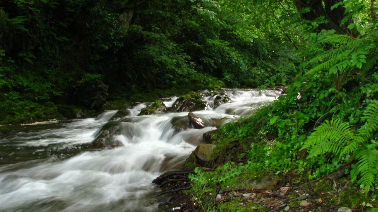 Albergue Olasenea Aterpea Zubieta Buitenkant foto