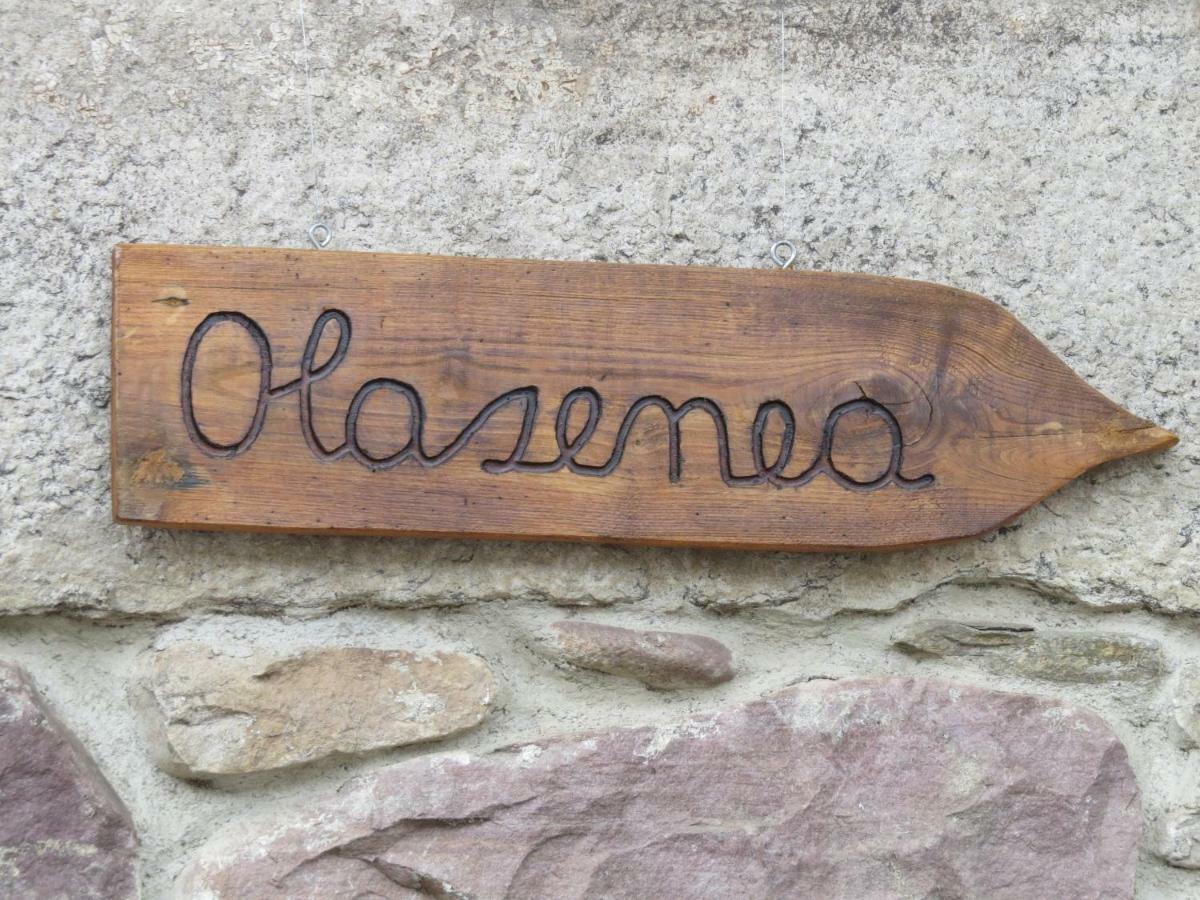 Albergue Olasenea Aterpea Zubieta Buitenkant foto